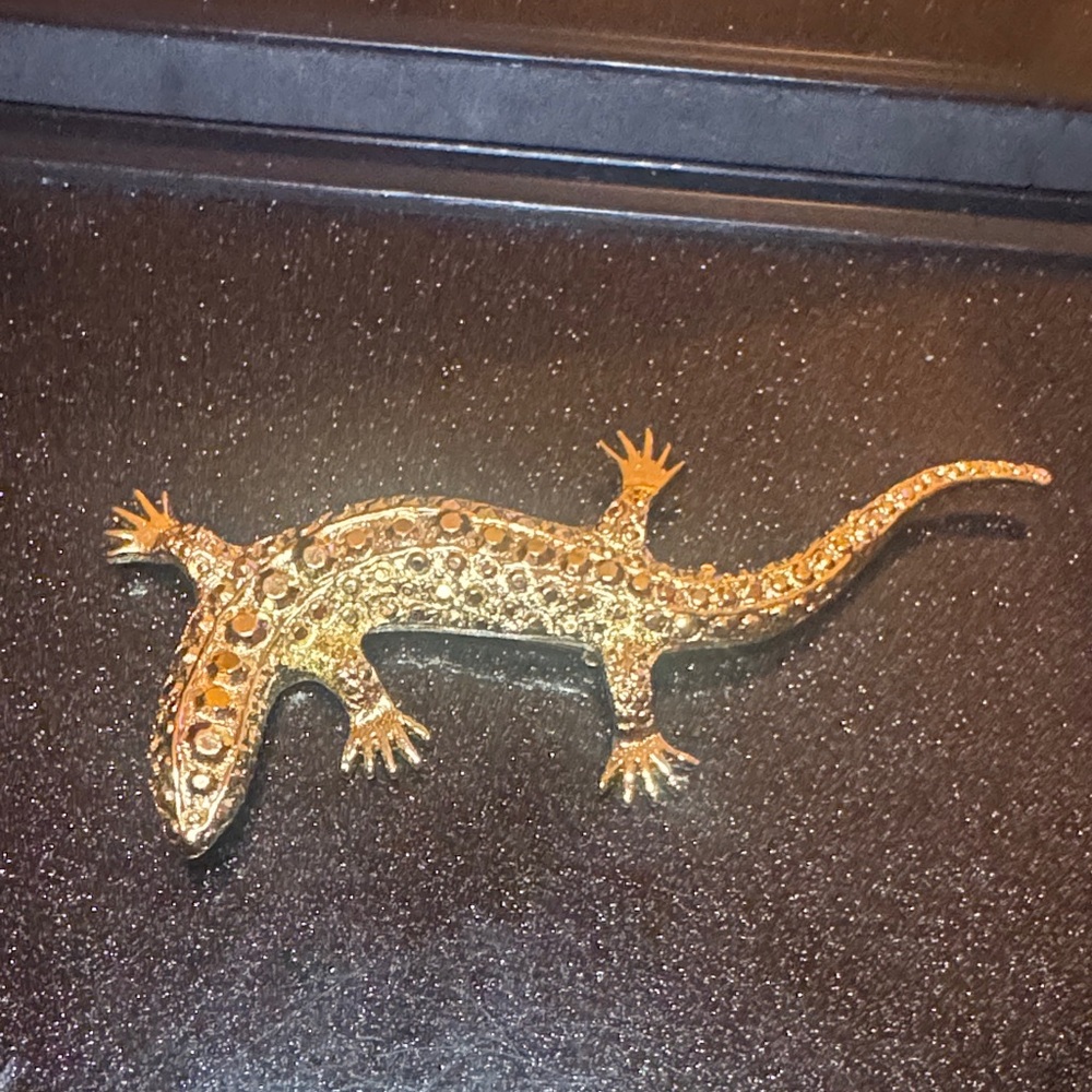 Gold Reptile Brooch